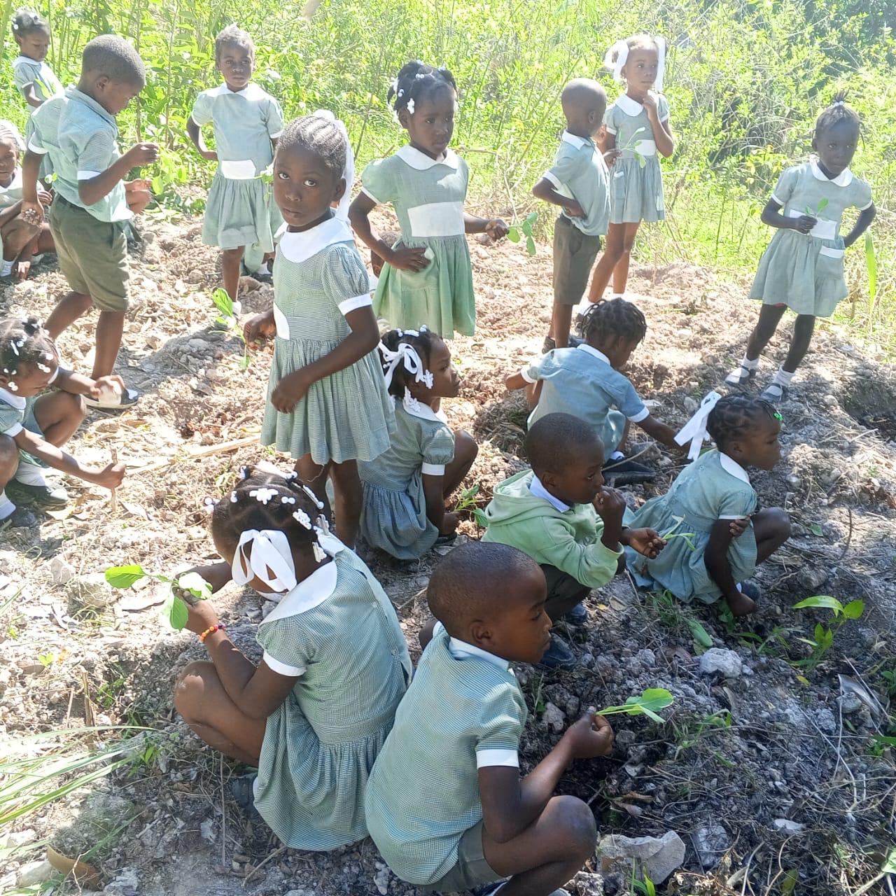 Community working together